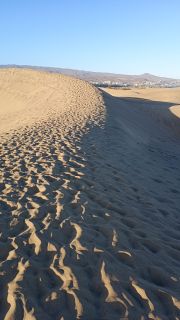 GC-Dunas de Maspalomas sunset 2026-067.jpg
